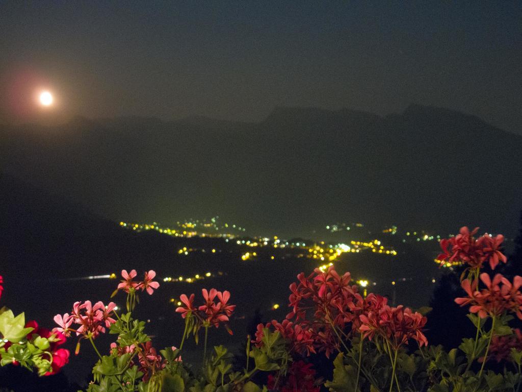 B&B Alba Sul Lago Pergine Valsugana Eksteriør bilde