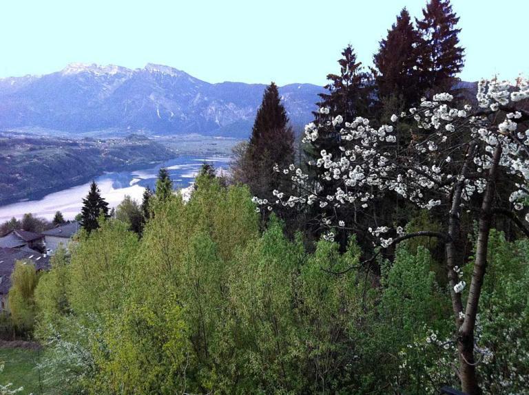 B&B Alba Sul Lago Pergine Valsugana Eksteriør bilde