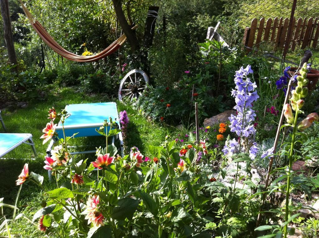B&B Alba Sul Lago Pergine Valsugana Eksteriør bilde
